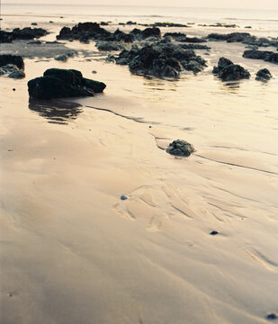A tight view of the shoreline at sunset
