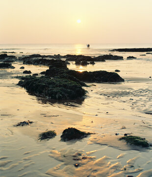 An enchanting look at the shoreline lit by the sinking sun