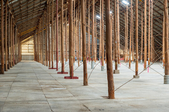 Long rows of timber posts inside a vast open warehouse