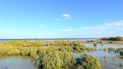 Marshland Habitat Imagery, Reflective Pools With Reed Surroundings, Coastal Wetland Scene With Lush Plant Life, Shallow Tidal Pool Environment Featuring Vibrant Sky Reflections And Dense Vegetation