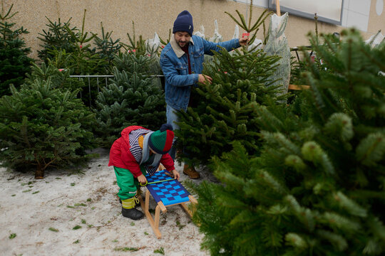 Father and Son Picking Christmas Tree Together