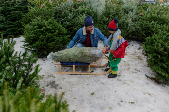 Father and Son Celebrate Picking a Christmas Tree Together