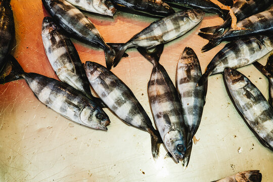 Striped Fish on Market Table