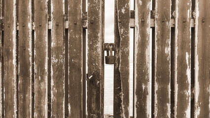 Wooden Gate Rustic Texture Frontview
Weathered Wood Brown Color