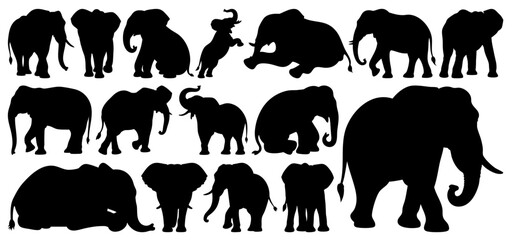 Elephant Silhouettes Collection in Various Poses and Actions on Transparent Background