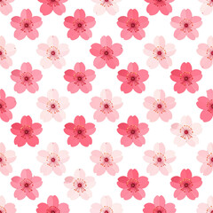 꽃_하늘배경_꽃잎흩날림