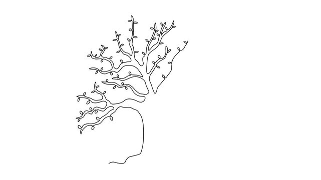 Abstract gnarled branching tree with hollow, squirrel house, oak, Self drawing animation one continuous line draw, logo on white background
