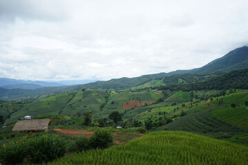 Fototapeta premium Natural landscape view of green rice paddy terrace