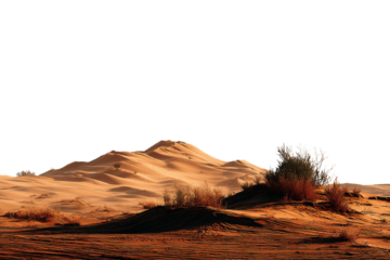 Golden Sand Dunes at Dusk with Silhouetted Desert Shrubs Under Dark Sky orange