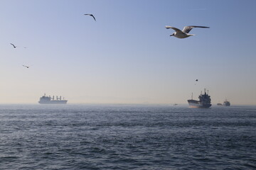 Naval Vessels Are Moored in the Marmara Sea, Waiting