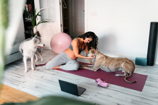 Pregnant woman cuddling with her dogs at home