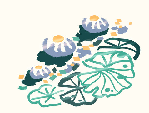 Lotus flowers and large water lily leaves