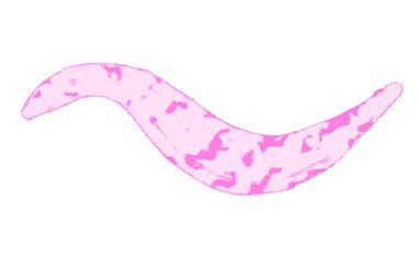 A realistic abstract pink wave with red patterns, isolated on transparent PNG, perfect as a modern design element.