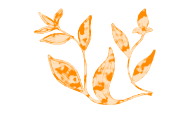 A pastel orange floral illustration with subtle dots, isolated on a transparent background, evoking softness and playful elegance.