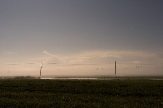 telegraph poles on a misty winters night