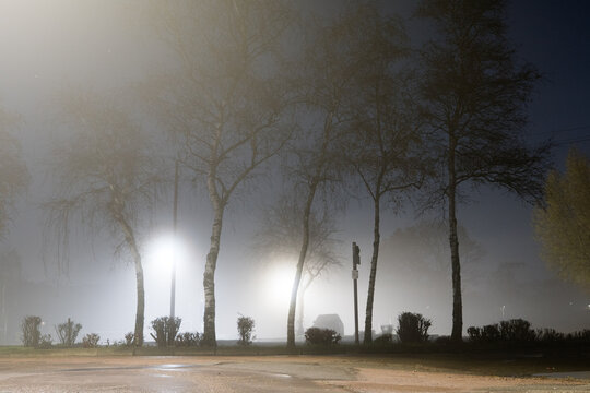 Trees silhouetted by street lights on a foggy night.