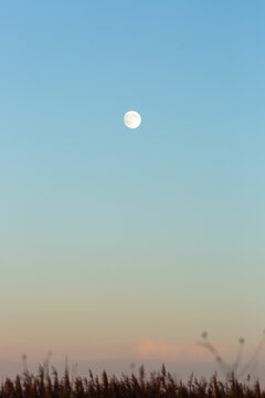 Winter landscape and moon at dusk