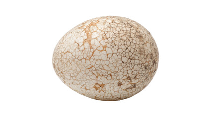 Cracked dinosaur egg fossil with texture