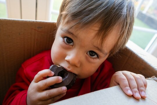 Toddler boy eating chocolate donut in cardboard box