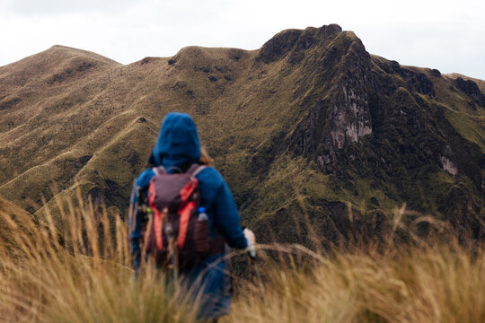 Back view of hiker facing steep green Andean mountain slope