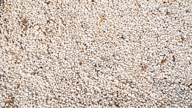 Traditional Chinese Calligraphy Tools and Practice Session