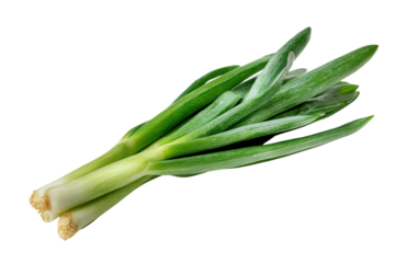 Fresh Whole Green Spring Onions with White Bulbs and Long Leaves