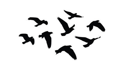A flock of birds in flight captured as a striking silhouette © MdGolam