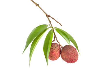 Lychee with leaves isolated on white background.
