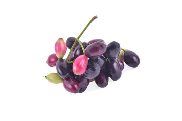 Jambolan plum or Java plum on white background.