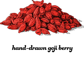 Hand drawn pile of red goji berries illustration herbal tea dried wolfberry organic food