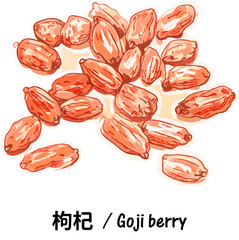 Dried goji berries isolated on white background wolfberry closeup superfood healthy snack chinese nature threapy