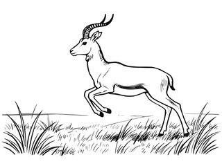 Minimalist, coloring book line art illustration of a graceful antelope jumping mid-air in the savanna, with flowing, continuous black lines on a clean white background. Generative AI