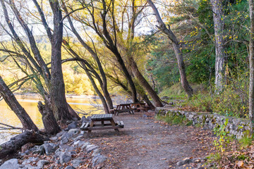 Forest riverside picnic spot with wooden table, autumn trees and calm water.