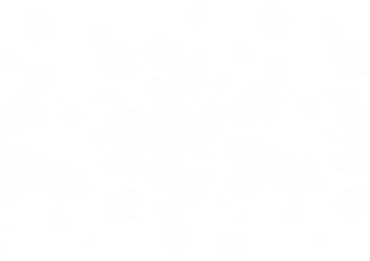 Collection of white starbursts and sparkling stars on a black background isolated on transparent background