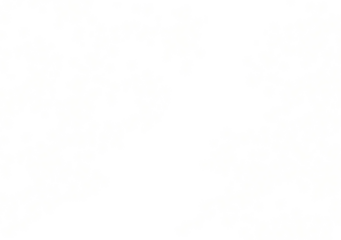 Sparkling white stars and dandelion seeds scattered across a dark background creating a whimsical and magical atmosphere on transparent background. 