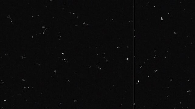 Noise, dirt, dust, scratches and grain on old damaged film surface. Old film look, tv signal with white vertical bad interference, static noise background.