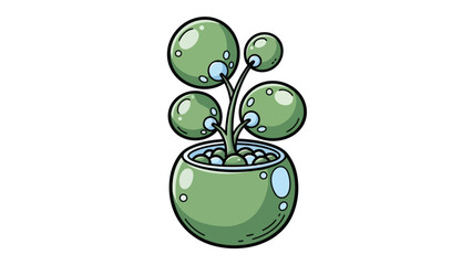 Lush Green Potted Plant with Spherical Leaves and Decorative Pot.