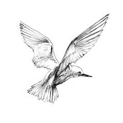 Obraz premium Watercolor Pink Flamingo Macaw hummingbird toucan birds illustration sketch drawing with Colorful Artistic Paint Splashes