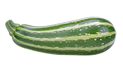 Variegated Zucchini Squash with Stripes
