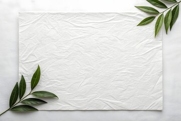 White blank paper with leaves
