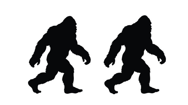 Two bigfoot creatures walking forward a striking black silhouette