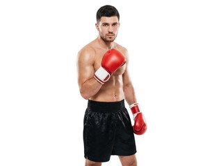 Muscular Male Boxer in Red Gloves and Black Shorts on White Background