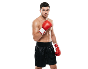 Muscular Male Boxer in Red Gloves and Black Shorts on White Background