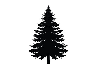 Obraz premium douglas-fir-isolated-on-white-background--close-up.eps