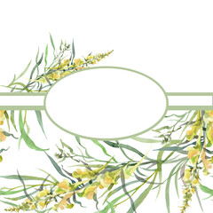 herb floral background with yellow flowers of common linaria, place for text