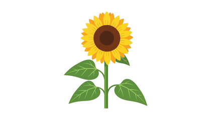 Obraz premium A vibrant yellow sunflower in full bloom standing tall on its green stem representing summer beauty and nature