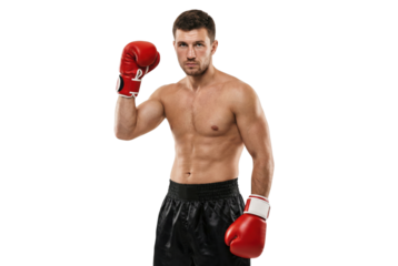 Muscular Male Boxer in Red Gloves and Black Shorts Posing on White Background