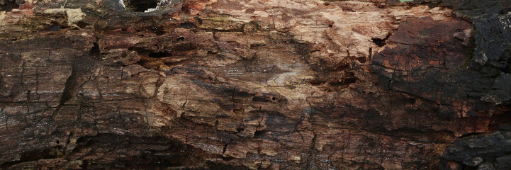 Natural wood decay texture caused by time and environment