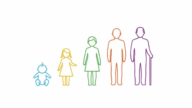 Illustration of human life stages from baby to elderly person.