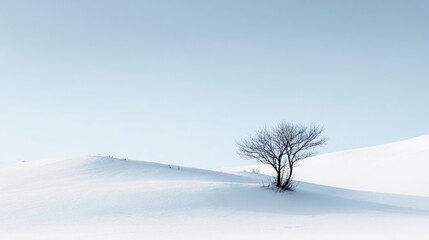 minimal winter background soft light white snow clean composition